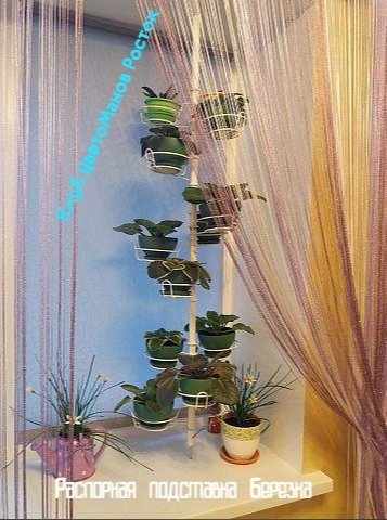 подставка для растений на окно вместительная. Фото N9